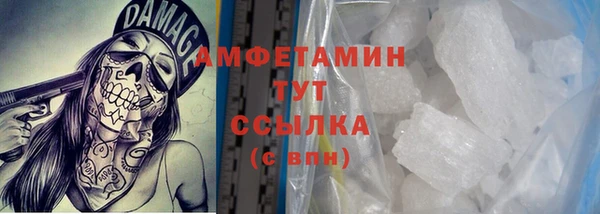 прущие грибы Дмитриев
