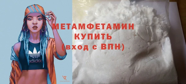 прущие грибы Дмитриев
