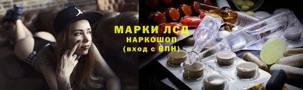 прущие грибы Дмитриев