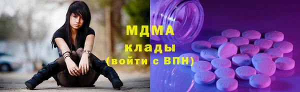 прущие грибы Дмитриев