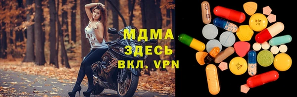 прущие грибы Дмитриев