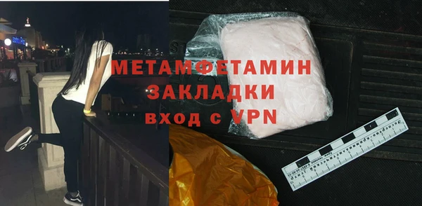 прущие грибы Дмитриев
