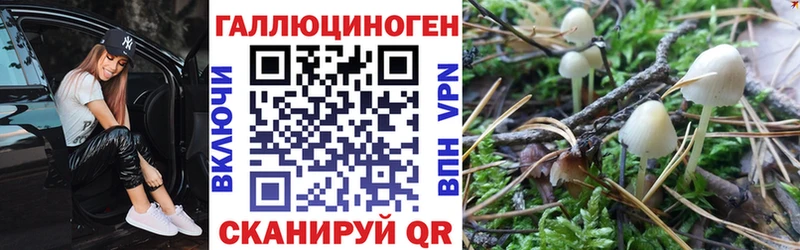 Галлюциногенные грибы Psilocybine cubensis Приморск